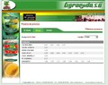 Inauguración de nuestra nueva página web