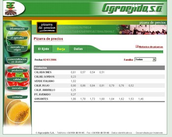 Inauguraci�n de nuestra nueva p�gina web