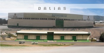 FIN DE CAMPA�A EN DALIAS