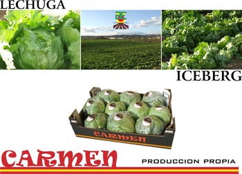 LECHUGA ICEBERG