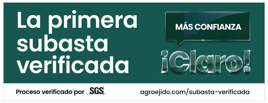 Defendiendo el valor del campo