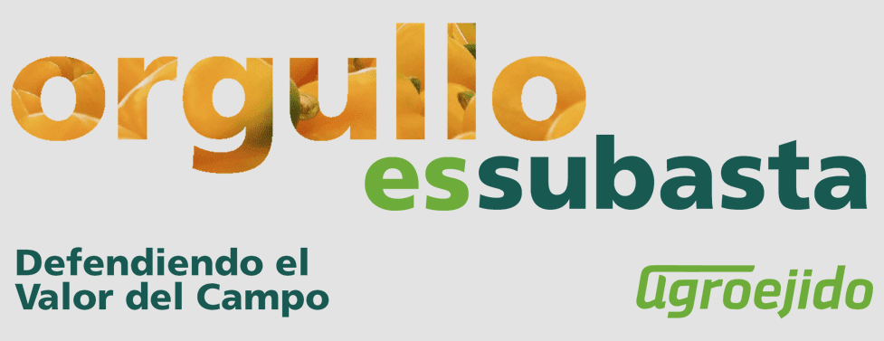 Defendiendo el valor del campo