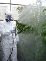 CURSO DE APLICADOR DE PLAGUICIDAS. NIVEL CUALIFICADO. (72 HORAS). CURSO DE APLICADOR DE PLAGUICIDAS. NIVEL CUALIFICADO. (72 HORAS).