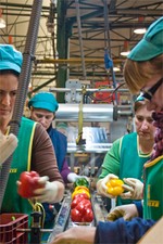 INTERNATIONAL FEATURED STANDARD Y BRITISH RETAIL CONSORTIUM. AGROEJIDO, S.A. continúa siendo LO BUENO DEL SUR. INTERNATIONAL FEATURED STANDARD Y BRITISH RETAIL CONSORTIUM. AGROEJIDO, S.A. continúa siendo LO BUENO DEL SUR.