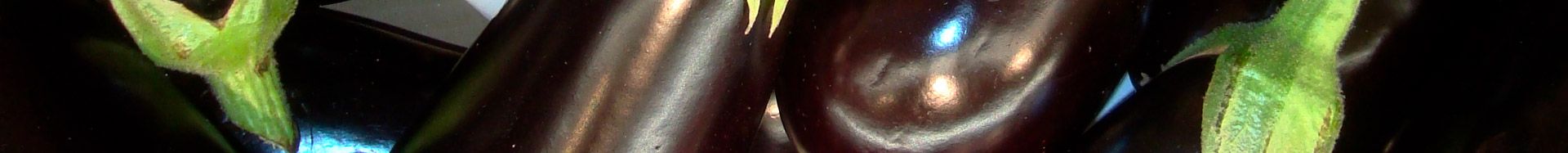 Berenjena - Agroejido