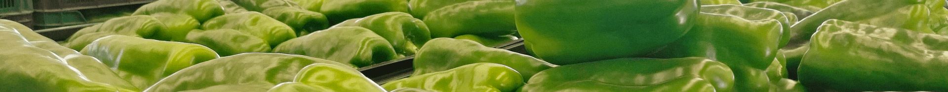 Pimientos - Agroejido>